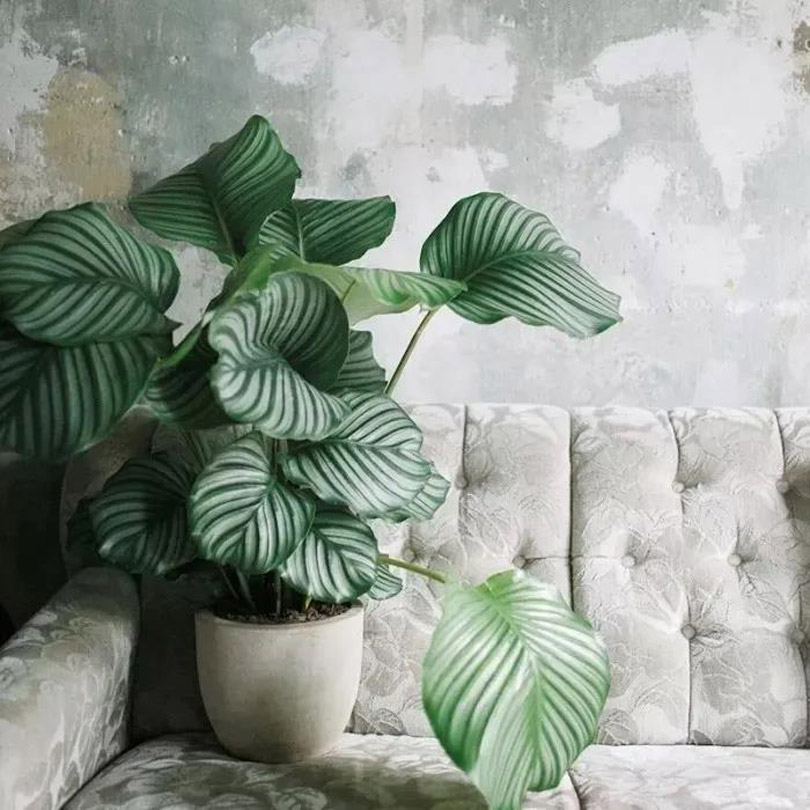 1600048289297650.jpg 微信圖片_20200914094147.jpg